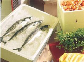 Fish Box.jpg